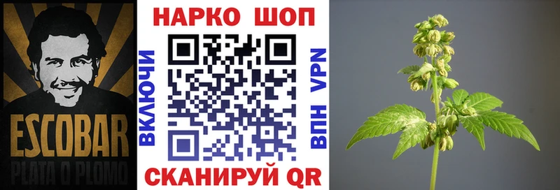 Хочу наркоту Белокуриха Марихуана  КОКАИН  МЕТАДОН  Галлюциногенные грибы  МЕФ  ГАШ 
