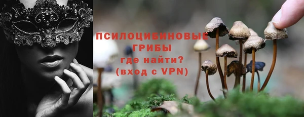 ПСИЛОЦИБИНОВЫЕ ГРИБЫ Белокуриха