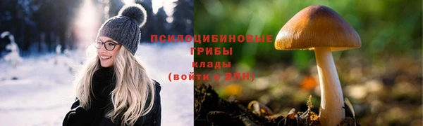 дживик Армянск