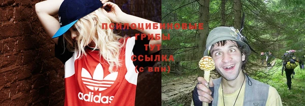 гашик Аркадак