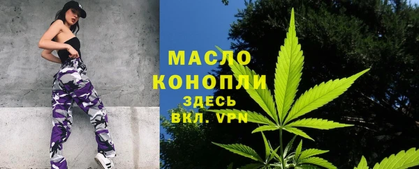 гашик Аркадак